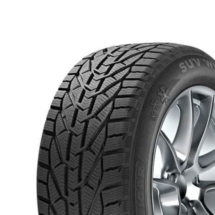 Tigar Winter 195/65R15 91H Kış Lastiği (2020)