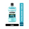 Listerine Cool Mint Hafif Tat Ağız Bakım Suyu 250 ML