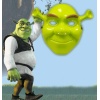 Yeşil Shrek Maskesi 21x25 cm