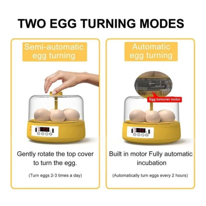Mini Otomatik Ev Tipi Kuluçka: Elektrikli Tavuk Ve Kuş Kuluçka Makinesi 6 Yumurtalı Mx-6