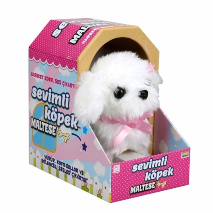 Sunman Sevimli Köpek Maltese