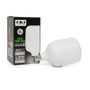 F.B.I Torch 40 Watt LED Ampul