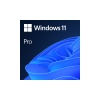 Windows 11 Pro OEM 64Bit İngilizce