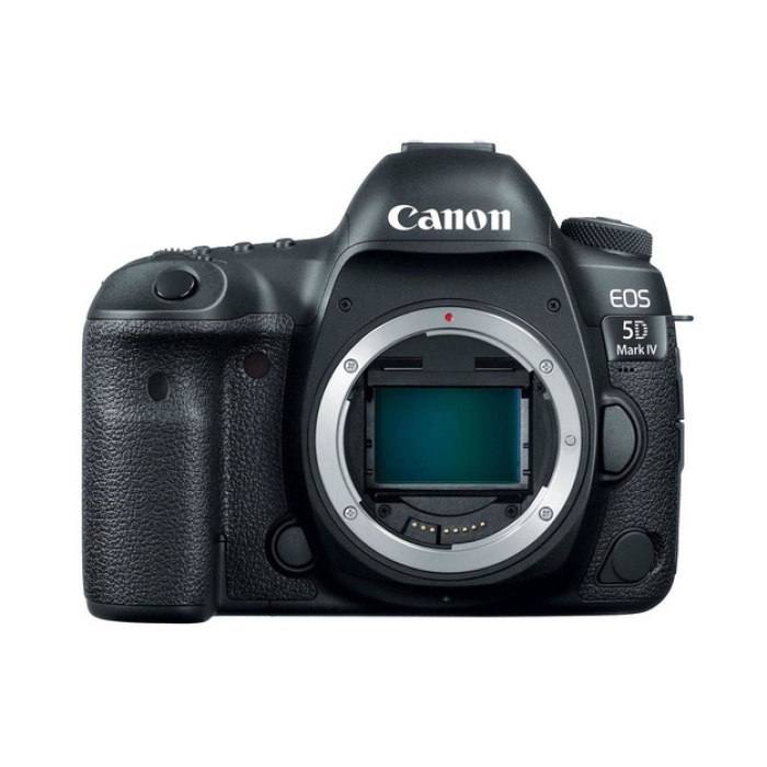 CANON EOS 5D MK IV(WG) EF24-105 L IS