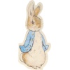 Peter Rabbit Peçete (20li)