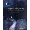 A Magical Night Journey Under the Moon and Stars: Finding Wonder and Serenity