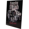 Suicide Squad In Squad We  Glass Posteri