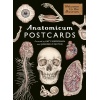 Anatomicum Postcard Box