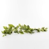 BZEFL44247 Yapay Pothos Garland Yeşil 180 cm