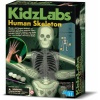 4M - KidzLabs, Parlayan İskelet (403375)