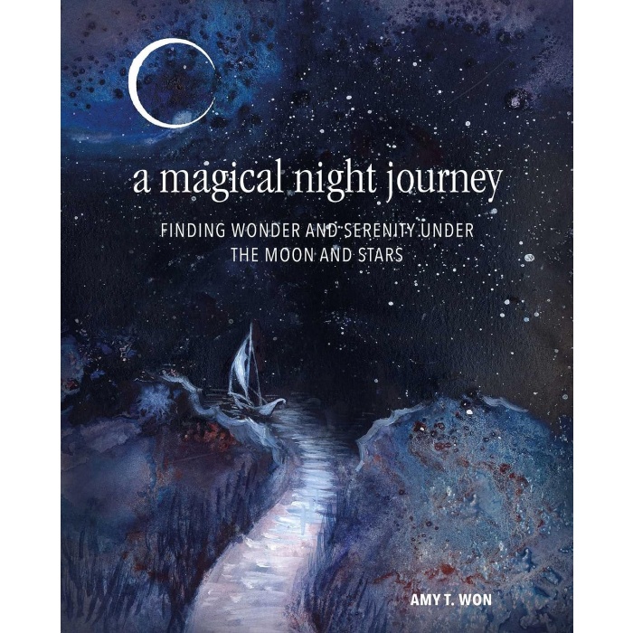 A Magical Night Journey Under the Moon and Stars: Finding Wonder and Serenity