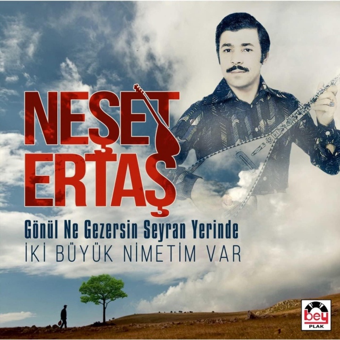 Neşet Ertaş - Gönül Ne Gezersin Seyran Yerinde/ Iki Büyük Nimetim Var - Plak