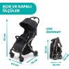 Chicco Cheerio Bebek Arabası Jet Black