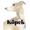 Köpek Kitabı - Resim Sanatında Köpekler  (4022)