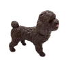 Soft Köpekler - Poodle Cinsi Köpek - E013