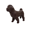 Soft Köpekler - Poodle Cinsi Köpek - E013