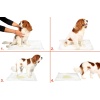 Yıkanabilir Köpek Çiş Pedi - 100 X 100 Cm 5li Paket (7474)