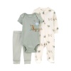 Carters Erkek Bebek Tulum Body Pantolon Set 3lü Paket 1R038110 Renkli