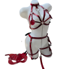 Deri Fantezi Harness İkili Takım Set 0386-800398KB