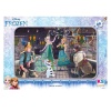 FRZ 704 Frozen Frame Puzzle 24 Parça