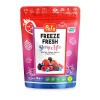 Pol’s Freeze Fresh Berry Mix 16 g