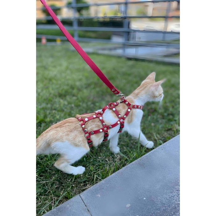 CLZ41 Full Body Kedi Harness, Kedi Gezdirme Tasması, Kedi Sokak Tasması - Ürün Rengi:Kırmızı