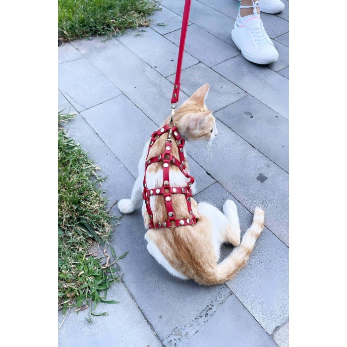 CLZ41 Full Body Kedi Harness, Kedi Gezdirme Tasması, Kedi Sokak Tasması - Ürün Rengi:Kırmızı