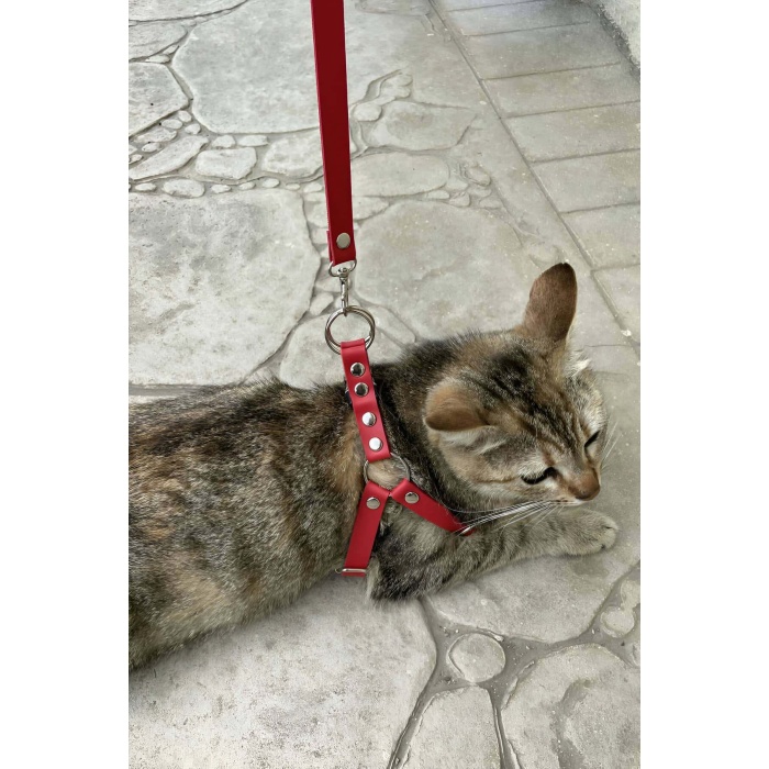 CLZ41 Deri Kedi Harness , Kedi Gezdirme Tasması - Ürün Rengi:Kırmızı