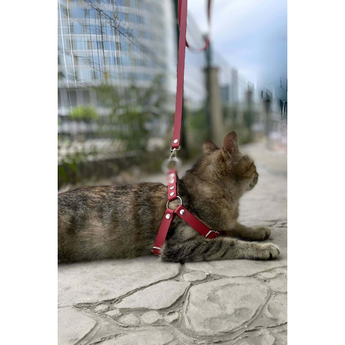 CLZ41 Deri Kedi Harness , Kedi Gezdirme Tasması - Ürün Rengi:Kırmızı