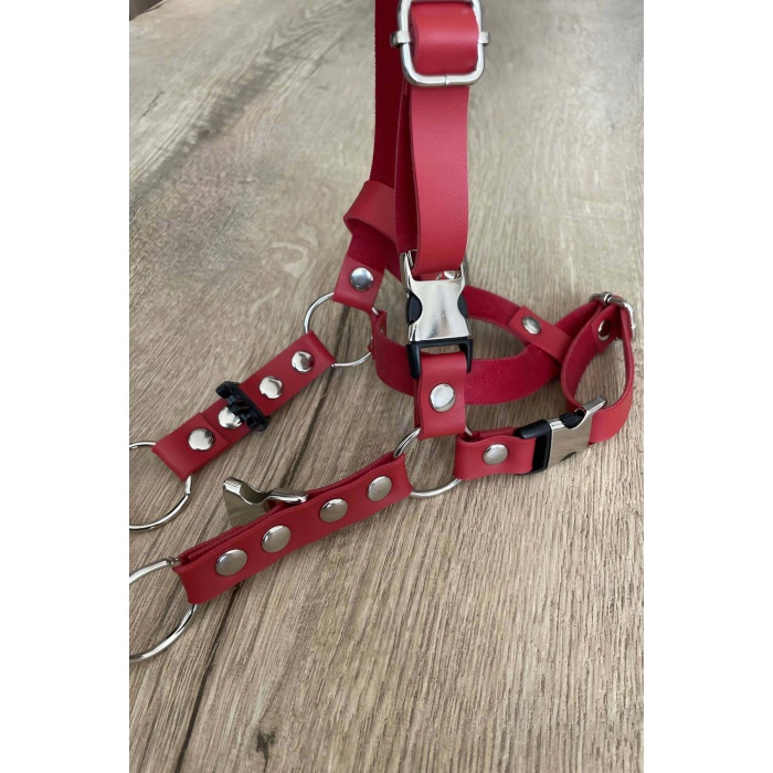 CLZ41 Deri Kedi Harness , Kedi Gezdirme Tasması - Ürün Rengi:Kırmızı