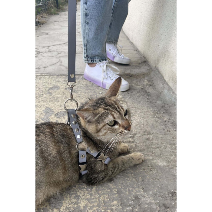 CLZ41 Karanlıkta Yansıyan Reflektörlü Kedi Harness , Özel Tasmalı Kedi Harness - Ürün Rengi:Beyaz