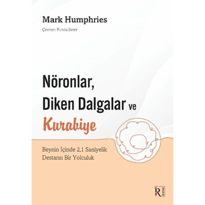 Nöronlar, Diken Dalgalar ve Kurabiye