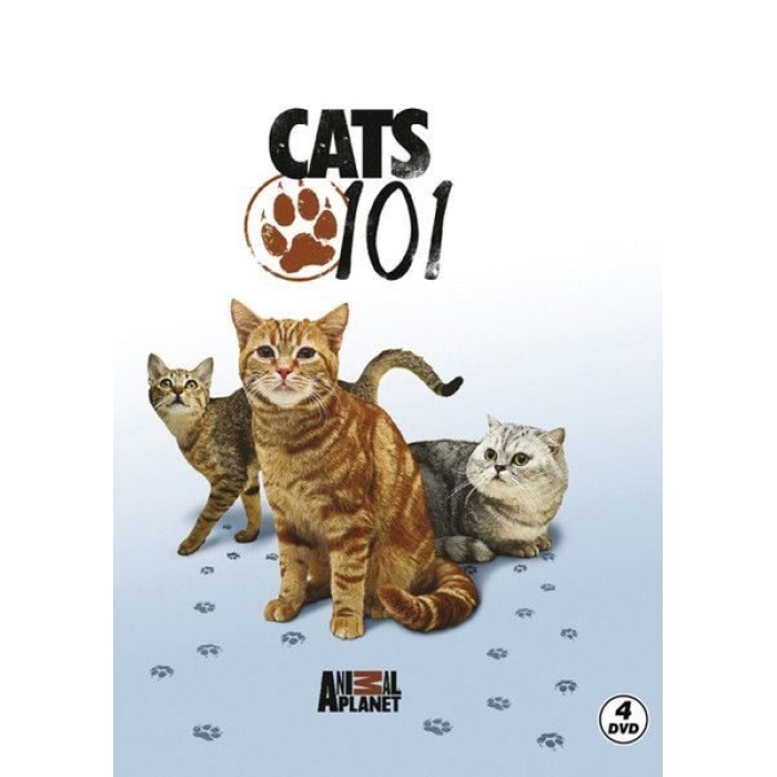 Cats 101 - Kediler
