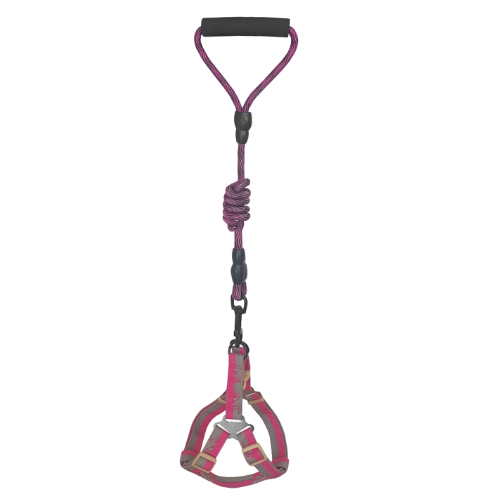 CLZ205 Köpek Göğüs Tasma Seti Dalga Desenli 2 cm*40-58 cm Mor-Pembe