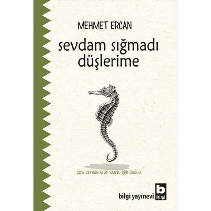 Sevdam Sığmadı Düşlerime  (4022)