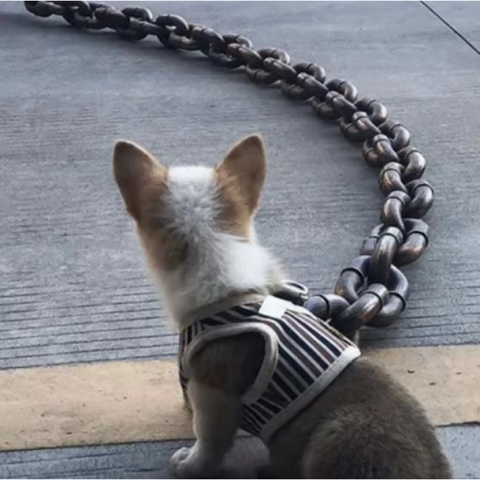 Plastik Komik Köpek Zinciri  Hafif Ama Güçlü Zincir Şeklinde Köpek Tasması 100 Cm