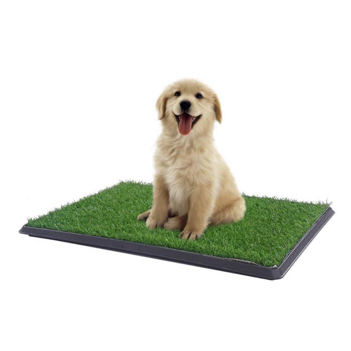 Yavru Köpek Tuvalet Eğitim Parkı 3 Katmanlı - 45Cm x 32 Cm (7474)