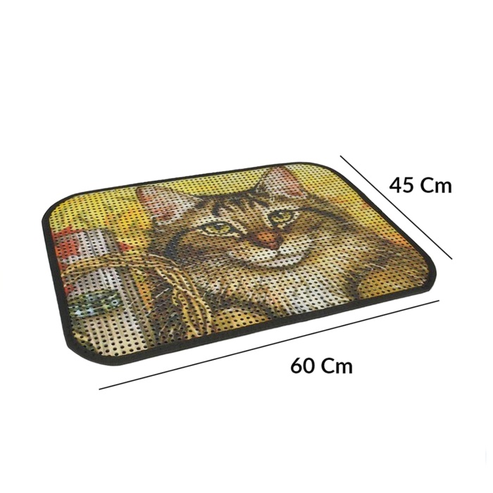 Kum Toplayıcı Fonksiyonel Renkli Kedi Paspası 45 x 60 cm