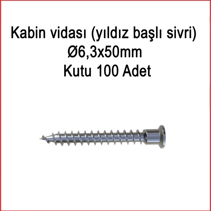 Metal galvaniz Kabin Vidası (yıldız Başlı Sivri) 06,3x50mm 100 Adet Kargo Bedava