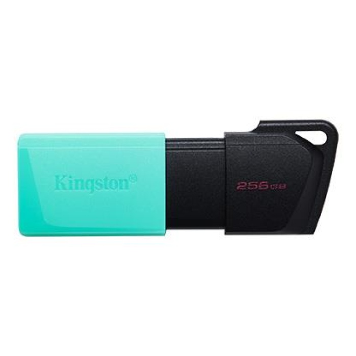 KINGSTON DTXM/256GB USB 3.2 DATA TRAVELER EXODİA M FLASH DİSK