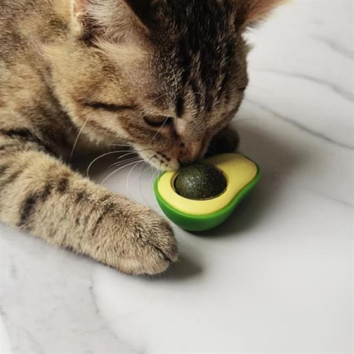 Avokado Model Yapışkanlı Kedi Oyuncağı Yenilebilir Kedi Nanesi Otu (4172)