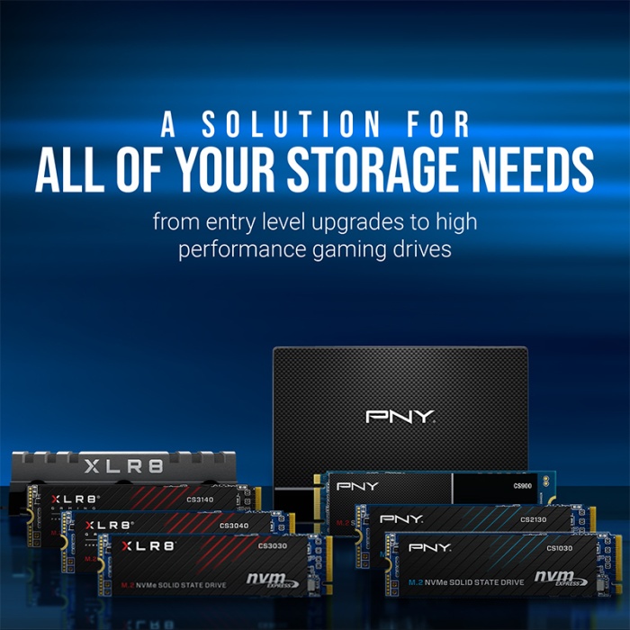 PNY CS900 500GB 535/500MB/s 2,5 SATA3 SSD (SSD7CS900-500-RB)