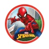 Spiderman Crime Fighter Karton Tabak 23cm 8li