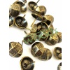 Pentagon kabara raptiye 18 mm antik 200 adet