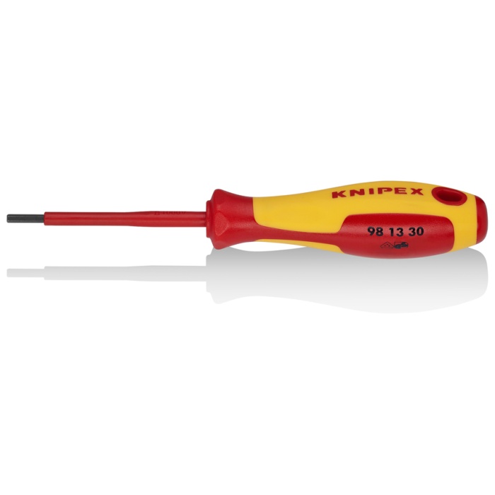 KNIPEX 98 13 30 ALLEN UÇLU ANAHTAR TORNAVİDA