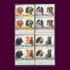 KÖPEKLER-1985 TUVALU-DAMGASIZ MNH PER TAM SET-DANTELSİZ