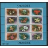 ÇİÇEKLER-ORKİDELER-1988 ROMANYA-DAMGASIZ MNH BLOK