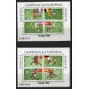 FUTBOL-1984 ROMANYA-2 ADET DAMGASIZ MNH BLOK