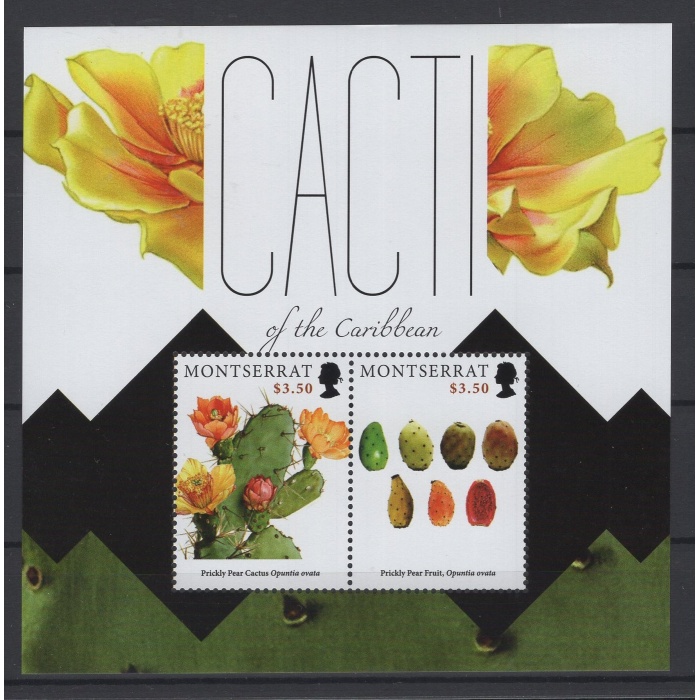 KAKTÜSLER-ÇİÇEKLER-2011 MONTSERRAT-DAMGASIZ MNH BLOK