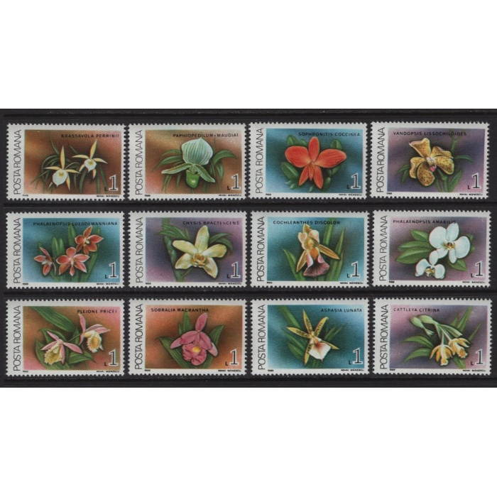 ÇİÇEKLER-ORKİDELER-1988 ROMANYA-DAMGASIZ MNH TAM SET